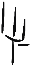 Image of the occurrence